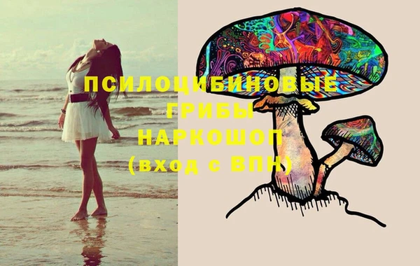 дмт Алексин