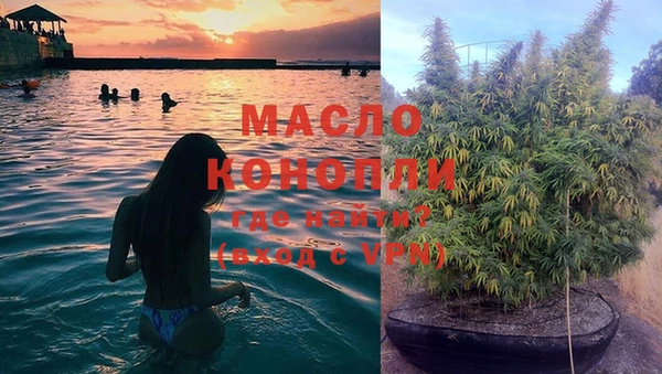 дмт Алексин