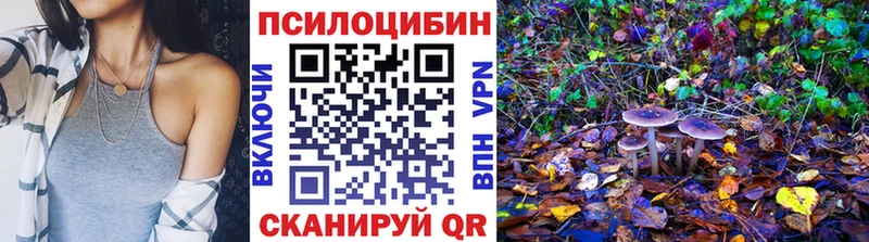 где купить наркоту  Артём  Галлюциногенные грибы Psilocybe 